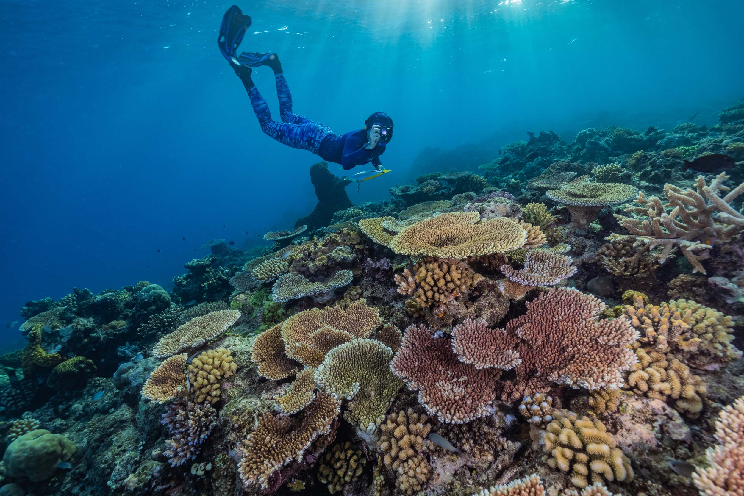 Great Barrier Reef
