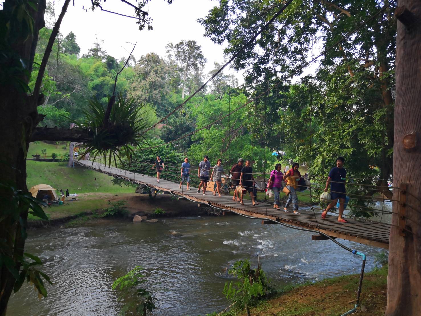เรื่องดี-ดี ที่ต้องบอกต่อ คลองวังเจ้า อุทยานฯสายแฟมิลี