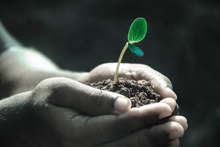 World Soil Day วันที่องค์การอาหารและเกษตรแห่งสหประชาชาติ ทูลเกล้าฯ ถวายเหรียญรางวัลนักวิทยาศาสตร์ดินเพื่อมนุษยธรรม