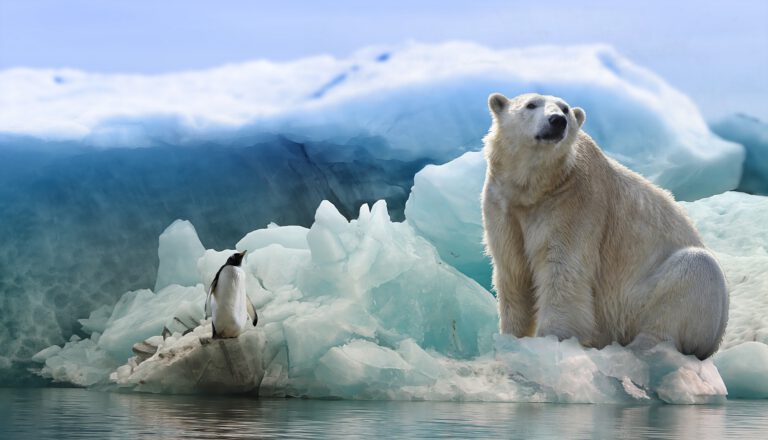 Pusan Model แนวทางใหม่ในการรับมือกับภาวะโลกร้อนและน้ำแข็งขั้วโลก เป็นผลให้ระดับน้ำทะเลค่อยๆ สูงขึ้นอย่างต่อเนื่องทุกปี