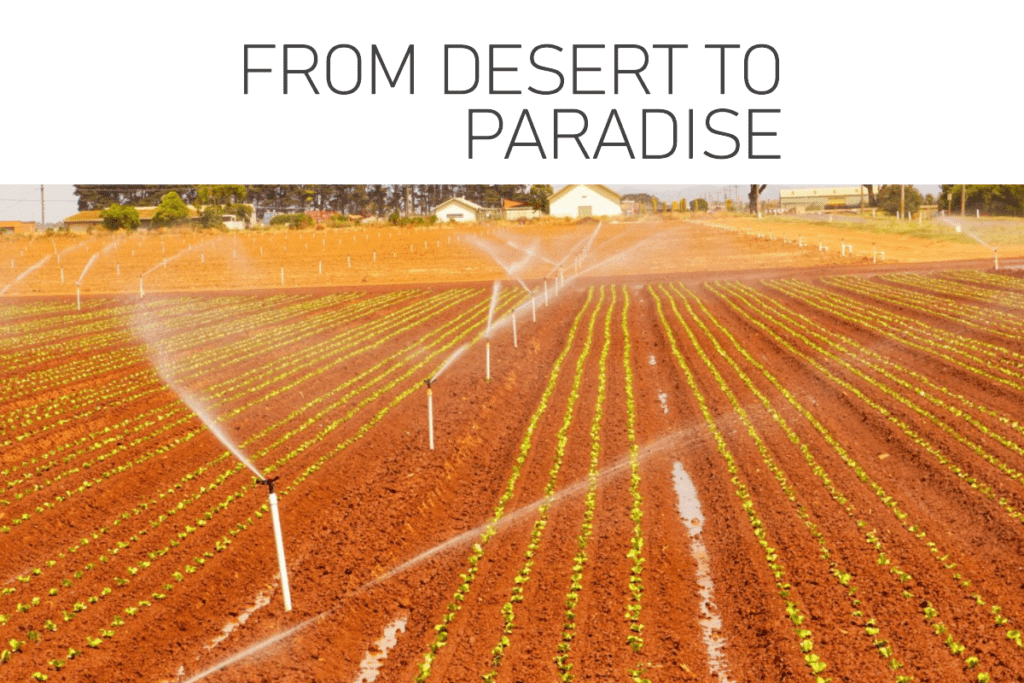 Liquid Nanoclay วัสดุสังเคราะห์แทนดิน เปลี่ยนทะเลทรายเป็นพื้นที่เพาะปลูก เทคโนโลยีที่เปลี่ยนความแห้งแล้งสู่ความอุดมสมบูรณ์