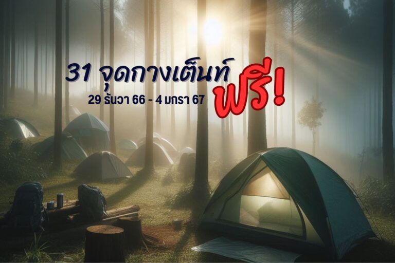 สายแคมป์มีเฮ รวม 31 จุดกางเต็นท์ ฟรี! รับปีมังกรทอง ระหว่าง 29 ธันวาคม 2566 – 4 มกราคม 2567 