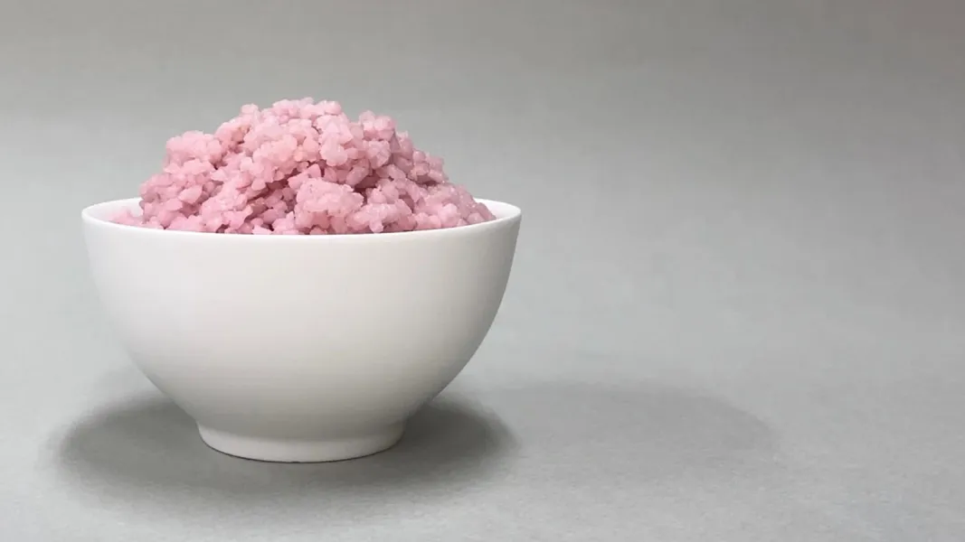 โลกตะลึง! ปลูกเซลล์วัวในเมล็ดข้าว รู้จัก Beef Rice ข้าวไฮบริดสีชมพู ซูเปอร์ฟู้ดแห่งอนาคต