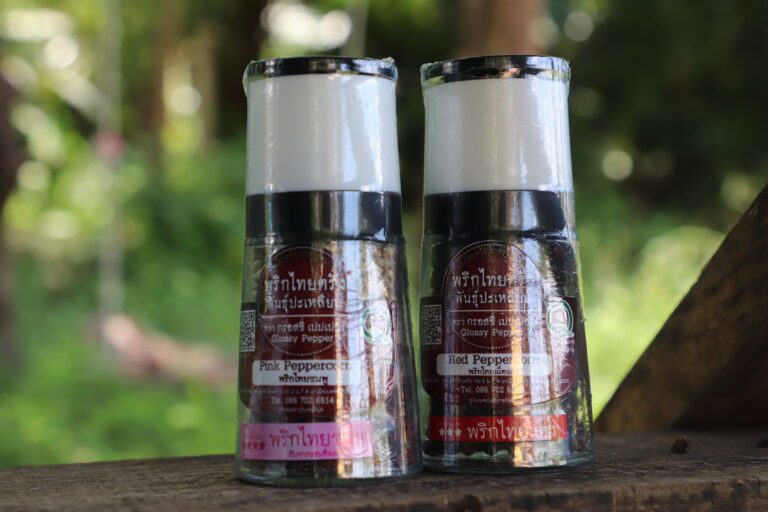 พริกไทยปะเหลียนกับการพลิกฟื้นพืชพื้นถิ่นสู่ผลิตภัณฑ์มาตรฐานโลก