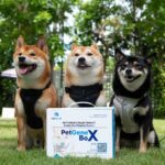 เจาะโมเดลสร้างเศรษฐกิจด้วยนวัตกรรม “นิลมังกร” แปลงร่างคนตัวเล็กเป็นฮีโร่