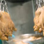 ตรุษจีนปีม้าทอง โก โฮลเซลล์ ชูเป็ดพะโล้คุณภาพดี ความหมายมงคลจากฟาร์มสู่โต๊ะไหว้