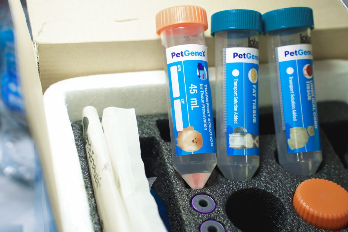 “PetgeneX” ธนาคารสเต็มเซลล์จากเลือดรายแรกของไทย