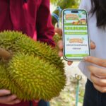 TikTok ผนึก DIT ดันสินค้าเกษตรกรไทยสู่ Discovery Commerce