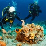 รพ.วิมุต ชวนเช็กความพร้อมก่อนดำน้ำในงาน “Thailand Dive Expo 2026”