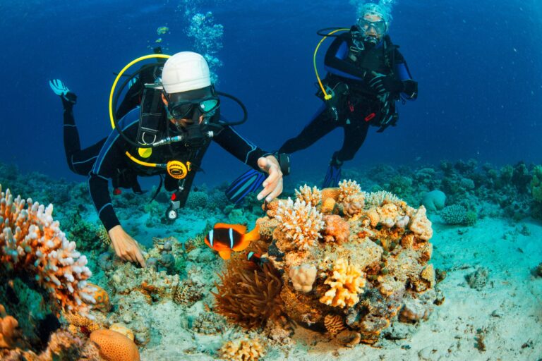 รพ.วิมุต ชวนเช็กความพร้อมก่อนดำน้ำในงาน “Thailand Dive Expo 2026”