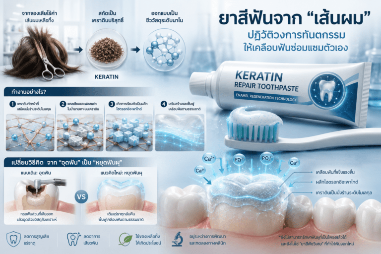 ลืมเสียงกรอฟันไปได้เลย… ยาสีฟันจาก “เส้นผม” ปฏิวัติวงการทันตกรรม ให้ (เคลือบ) ฟันซ่อมแซมตัวเอง