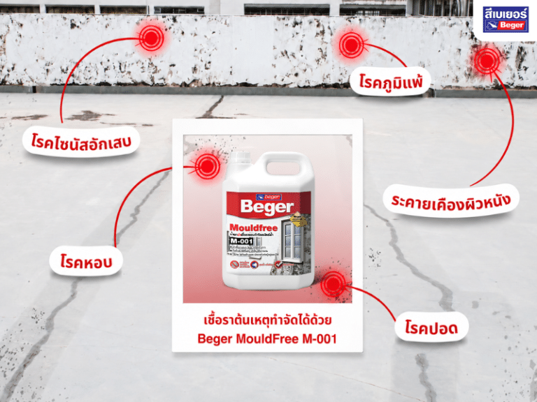 เบเยอร์แนะวิธีฟื้นฟูบ้านหลังน้ำท่วม กำจัดเชื้อราให้ถูกวิธีก่อนทาสีใหม่